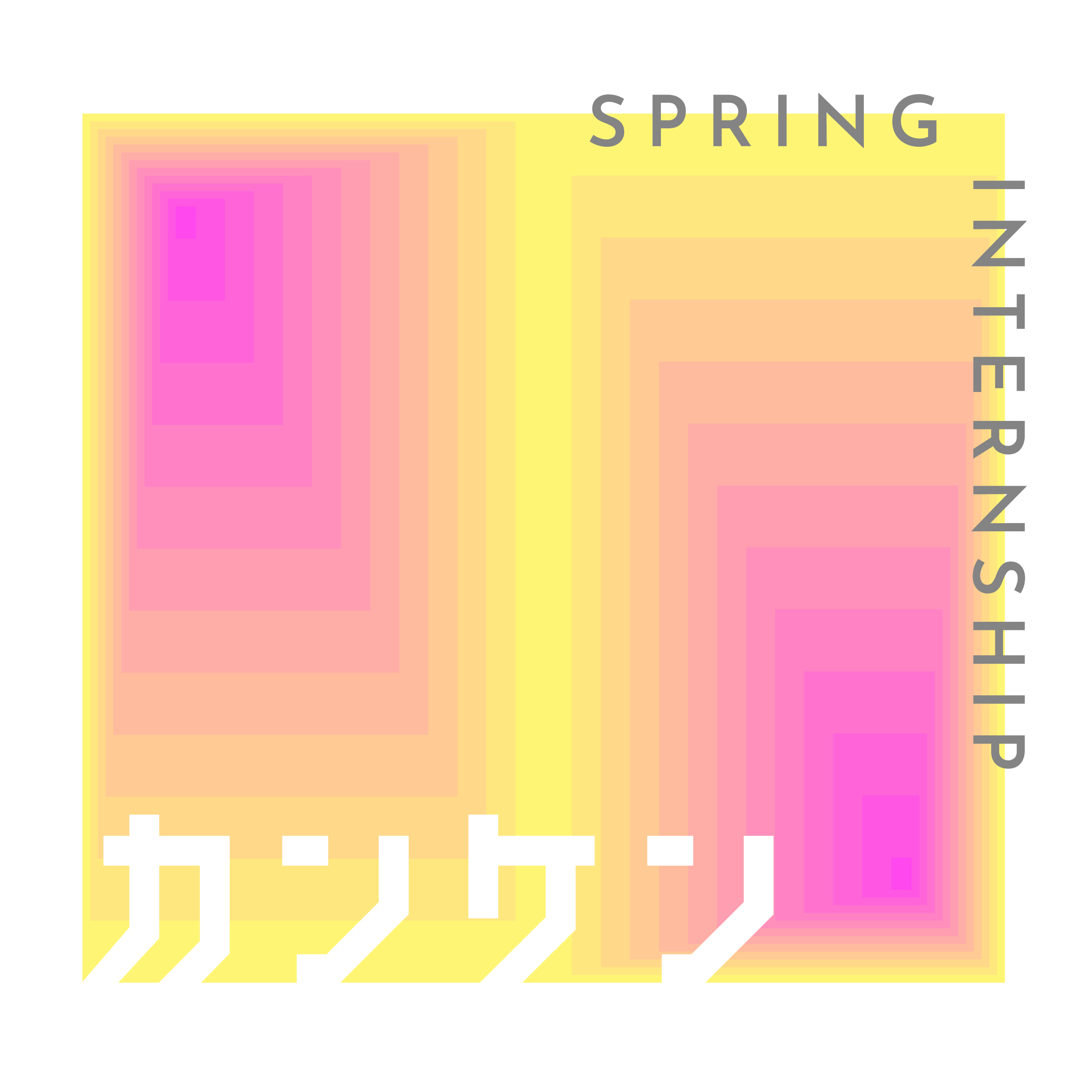 SUMMER INTERNSHIP カンケン